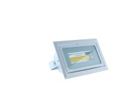 LED Flood Light